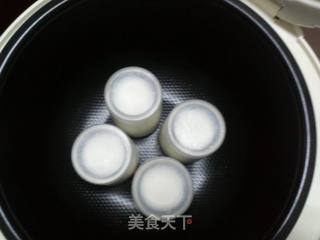 夏天健康消暑佳品--自制老酸奶的做法步骤:6