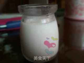 夏天健康消暑佳品--自制老酸奶的做法步骤:8