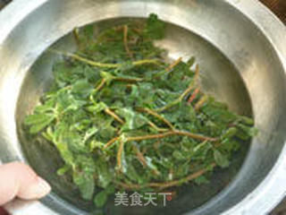 泡椒马齿苋的做法步骤:5