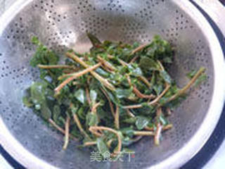 泡椒马齿苋的做法步骤:15