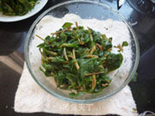 泡椒马齿苋的做法步骤:16