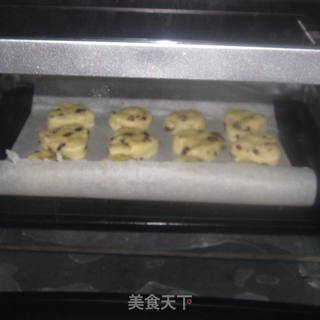 蔓越莓奶酪小饼(司康)的做法步骤:12
