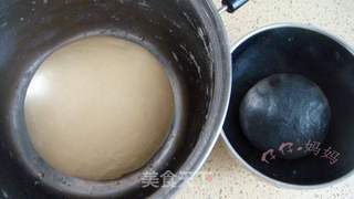 熊猫面包——烫种的做法步骤:2