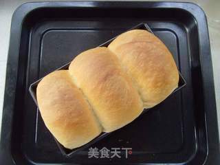经典白吐司:醇香细腻---庞多米的做法步骤:10