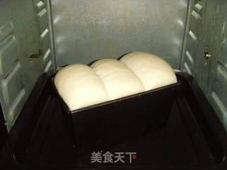 经典白吐司:醇香细腻---庞多米的做法步骤:9