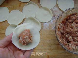 大自然的馈赠---山蘑猪肉饺的做法步骤:10