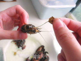 张牙舞爪的季节很疯狂——【红烧小龙虾】的做法步骤:2