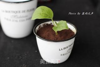 新时尚——盆栽冰淇淋的做法步骤:8