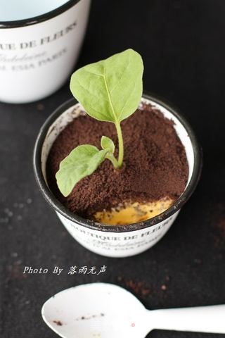 新时尚——盆栽冰淇淋的做法步骤:9