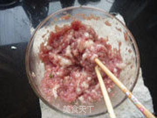 嫩南瓜蒸饺的做法步骤:13