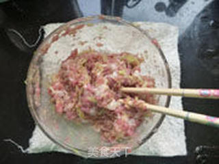 嫩南瓜蒸饺的做法步骤:16