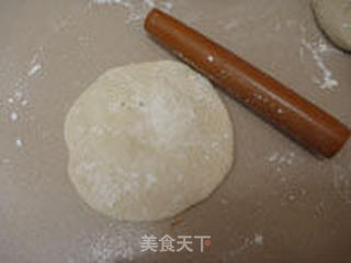 马齿苋鲜肉包的做法步骤:9