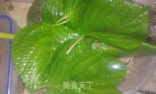双紫争艳蛋皮饭卷——紫苏系列3的做法步骤:3