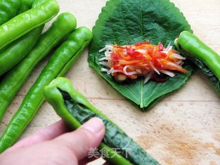韩国料理家常泡菜——青辣椒包馅泡菜的做法步骤:5