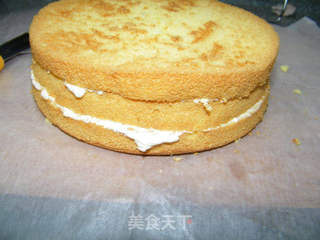 【番茄自制美食】樱桃小丸子生日蛋糕的做法步骤：15