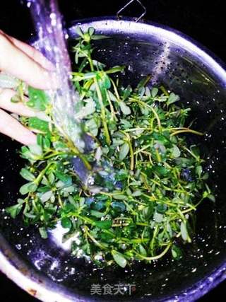 凉拌马齿苋的做法步骤:3
