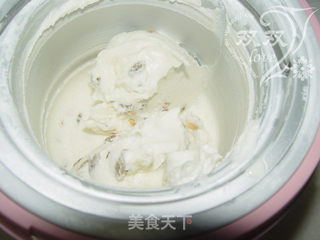 自制低脂冰激凌帮助胖人抵御秋老虎——酸奶冰激凌的做法步骤:10