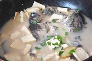 鲫鱼豆腐汤的做法步骤:7