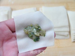 平常幸福味道——韭菜鲜肉馄饨的做法步骤:9