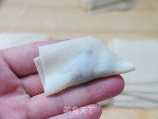 平常幸福味道——韭菜鲜肉馄饨的做法步骤:10