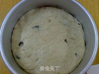 仿蛋糕核桃吐司的做法步骤:8