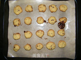 【番茄自制美食】趣多多的做法步骤：13