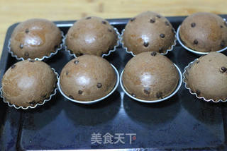巧克力豆面包的做法步骤:10