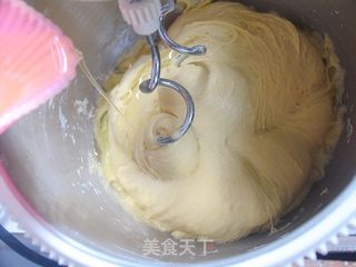 原味南瓜餐包的做法步骤:4
