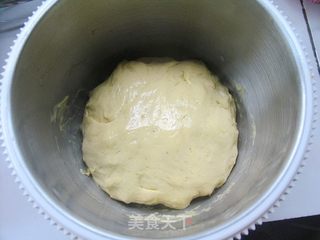 原味南瓜餐包的做法步骤:5