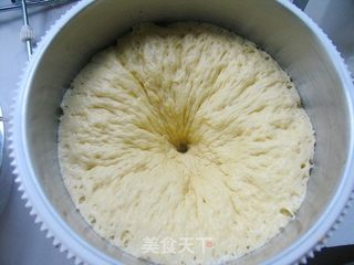 原味南瓜餐包的做法步骤:6
