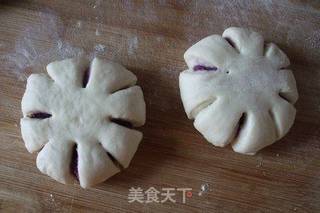 紫薯面包的做法步骤:8