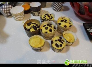 黄油飘香----葡萄干巧克力豆纸杯蛋糕的做法步骤:14