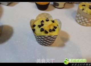 黄油飘香----葡萄干巧克力豆纸杯蛋糕的做法步骤:13