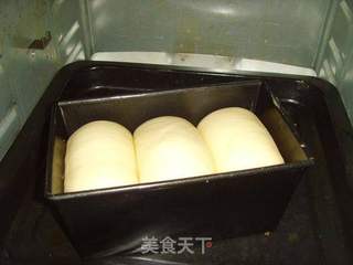 全蛋吐司的做法步骤:9