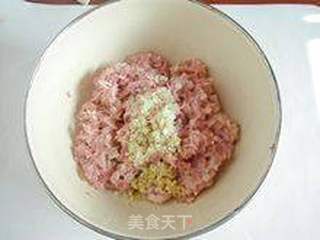 家常主食----【鲜肉蒸饺】的做法步骤:3
