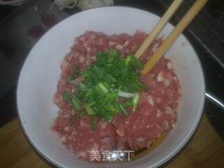 香烙肉饼的做法步骤:3