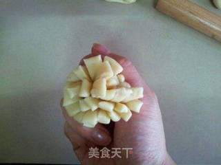 菊花酥的做法步骤:15