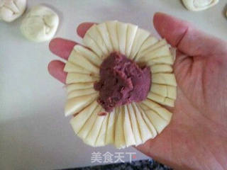 菊花酥的做法步骤:14
