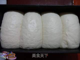 100%中种北海道吐司的做法步骤:10