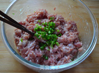 压面机花样面食之——猪肉玉米饺子的做法步骤:2
