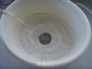 菠菜瘦肉粥的做法步骤:4