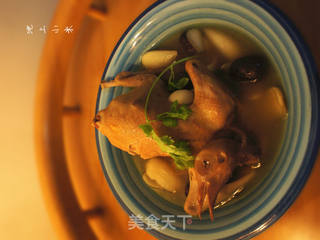 阿胶鸽子汤的做法步骤:6