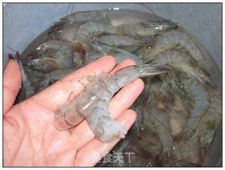 冬瓜虾卷的做法步骤:4