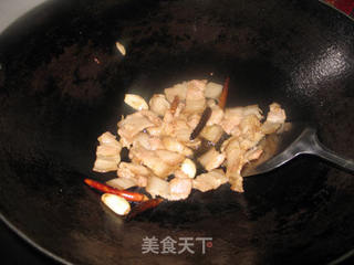 家常手撕包菜的做法步骤:4