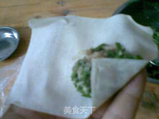 饺子和它的兄弟云吞的做法步骤:13