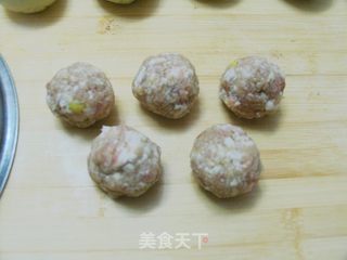 苏式葱香鲜肉月饼的做法步骤:6