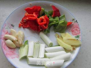 木垒羊肉焖饼——新疆味道的做法步骤:5