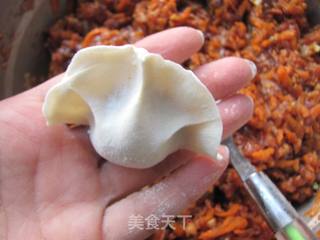 水饺的详细制作过程----胡萝卜鲜肉水饺的做法步骤:14