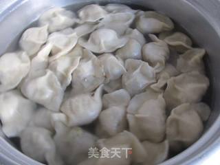 水饺的详细制作过程----胡萝卜鲜肉水饺的做法步骤:17