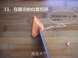 胡萝卜蝴蝶的做法的做法步骤:11